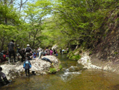 沢歩きたんけん隊4