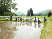 親子で農業体験1