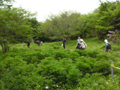 山歩きたんけん隊2