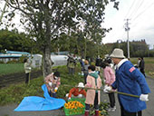 干し柿づくり
