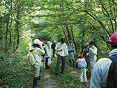 山歩きたんけん隊