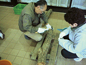 原木茸栽培体験
