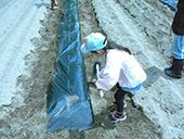 親子で農業体験
