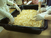 大倉味噌・豆腐作り体験