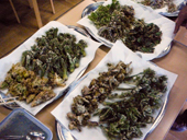 山菜を食べよう！