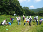里山で昆虫採集しよう